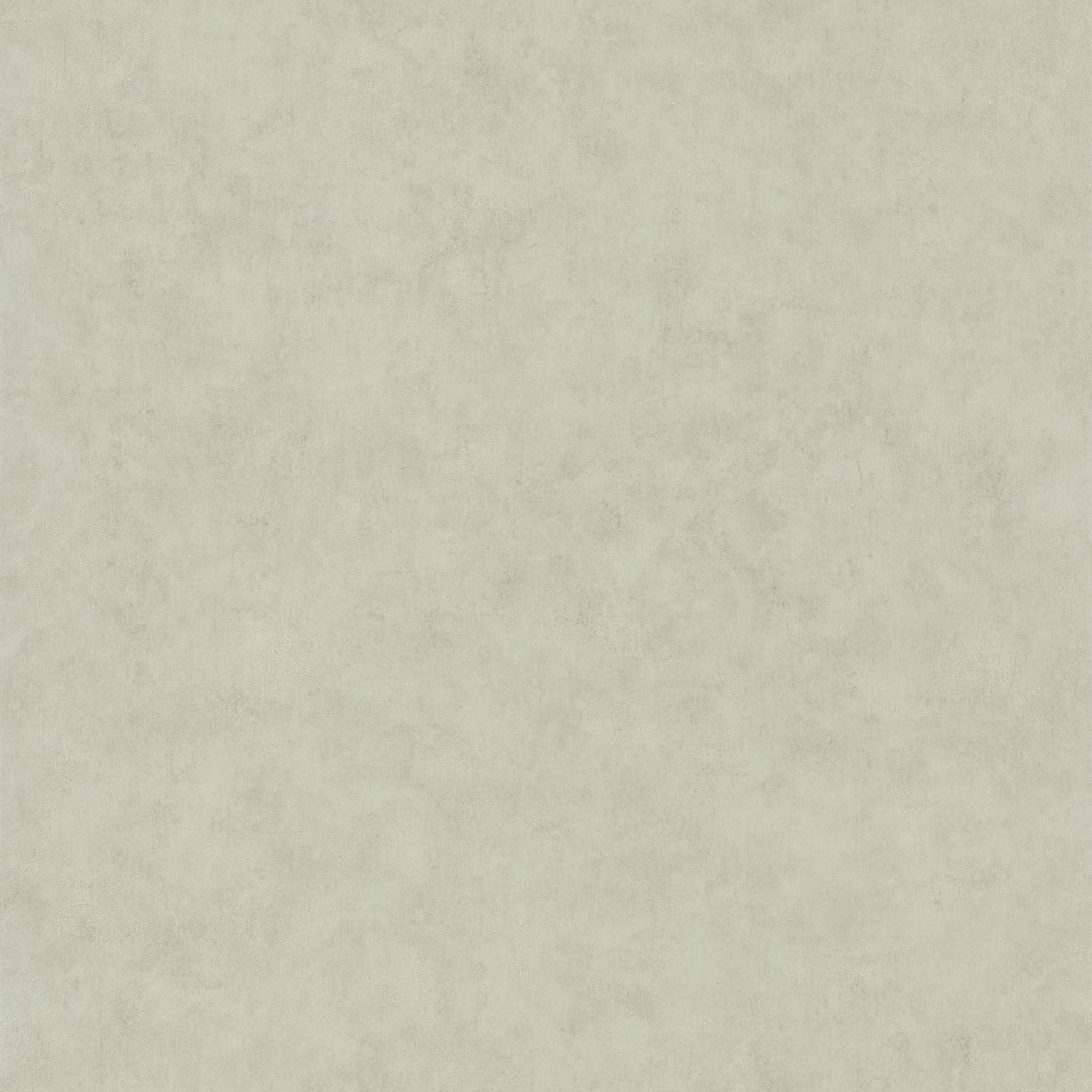 Beton Uni Wallpaper - Lichen - Caselio - 101487270