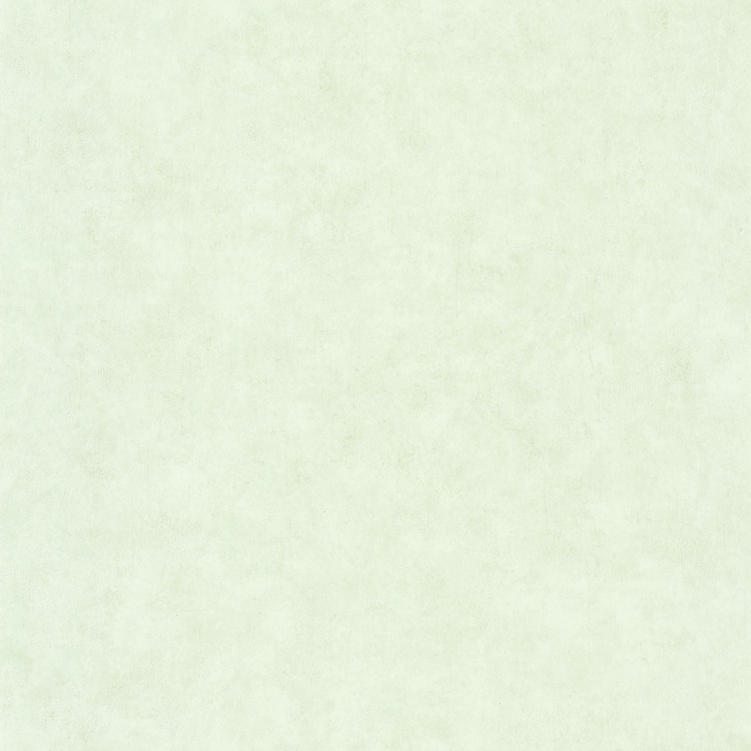 Beton Uni Wallpaper - D'eau - Caselio - 101487042