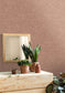 Beton Uni Wallpaper - Ebene - Caselio - 101482666