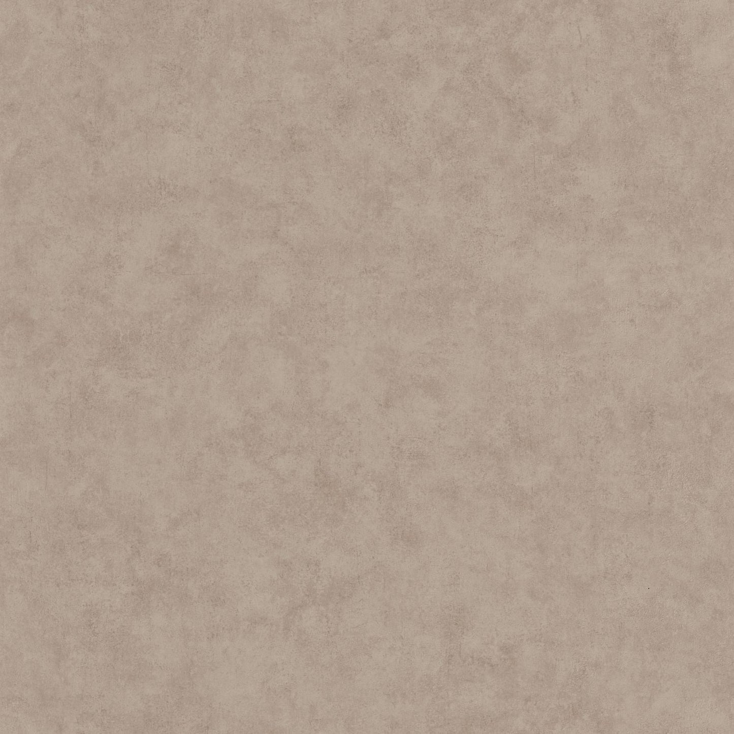 Beton Uni Wallpaper - Taupe Chaud - Caselio - 101481462