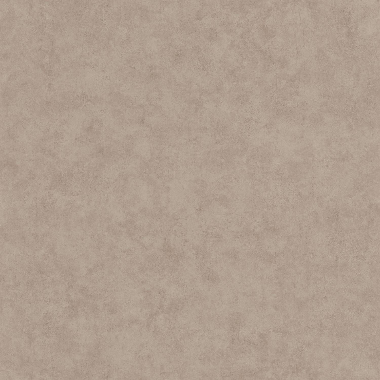 Beton Uni Wallpaper - Taupe Chaud - Caselio - 101481462