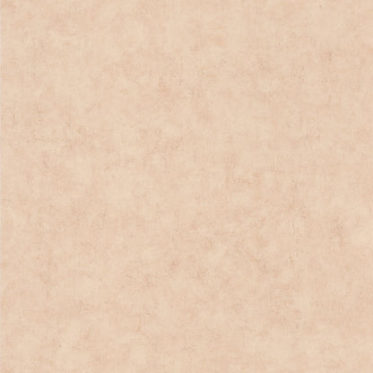 Beton Uni Wallpaper - Beige - Caselio - 101482551
