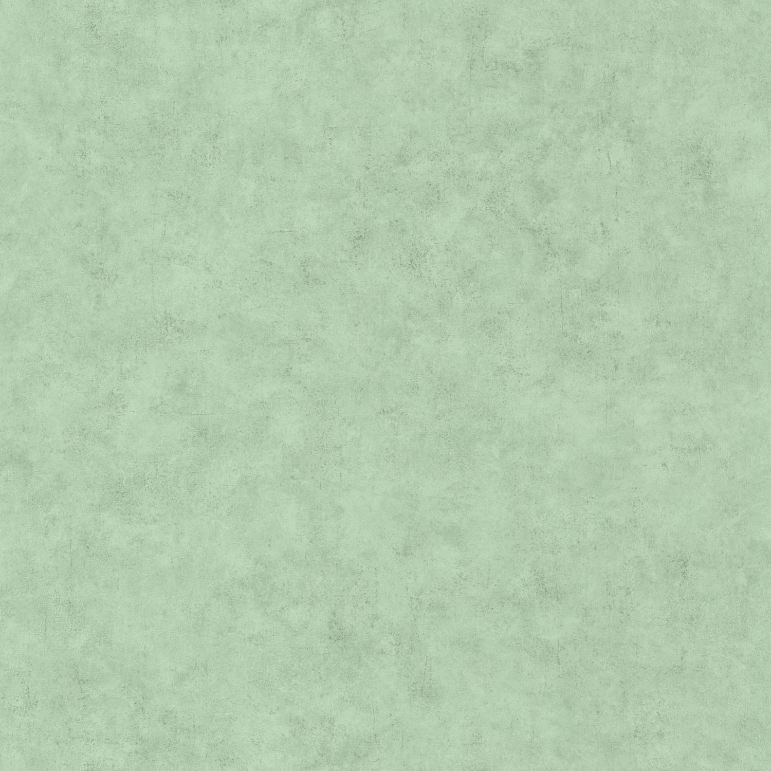 Beton Uni Wallpaper - D Eau Moyen - Caselio - 101487516