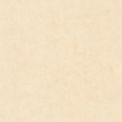 Beton Uni Wallpaper - Ivoire - Caselio - 101481247