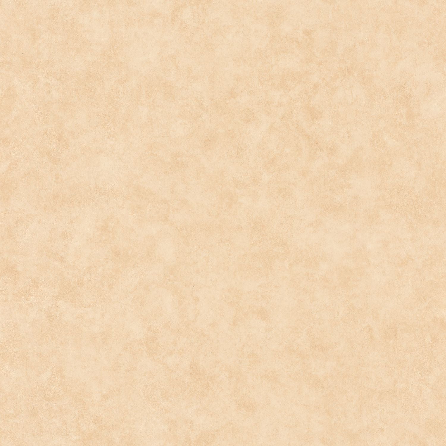 Beton Uni Wallpaper - Dune - Caselio - 101481674