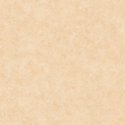 Beton Uni Wallpaper - Dune - Caselio - 101481674