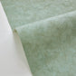 Beton Uni Wallpaper - D Eau Fonce - Caselio - 101487670