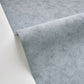 Beton Uni Wallpaper - Carbone Clair - Caselio - 101489578