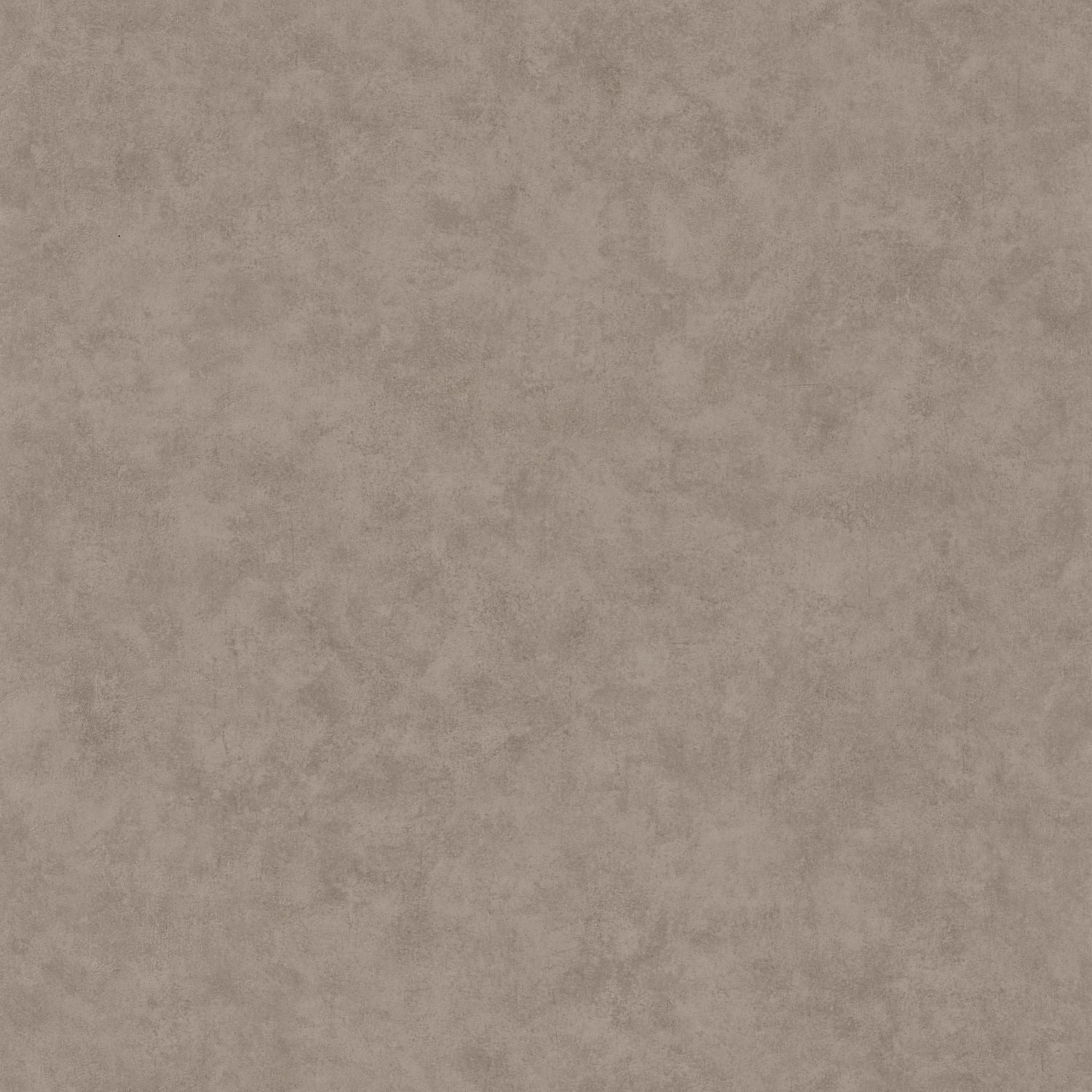 Beton Uni Wallpaper - Taupe Gris Fonce - Caselio - 101481899
