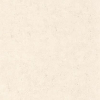 Beton Uni Wallpaper - Taupe Beige Clair - Caselio - 101481258