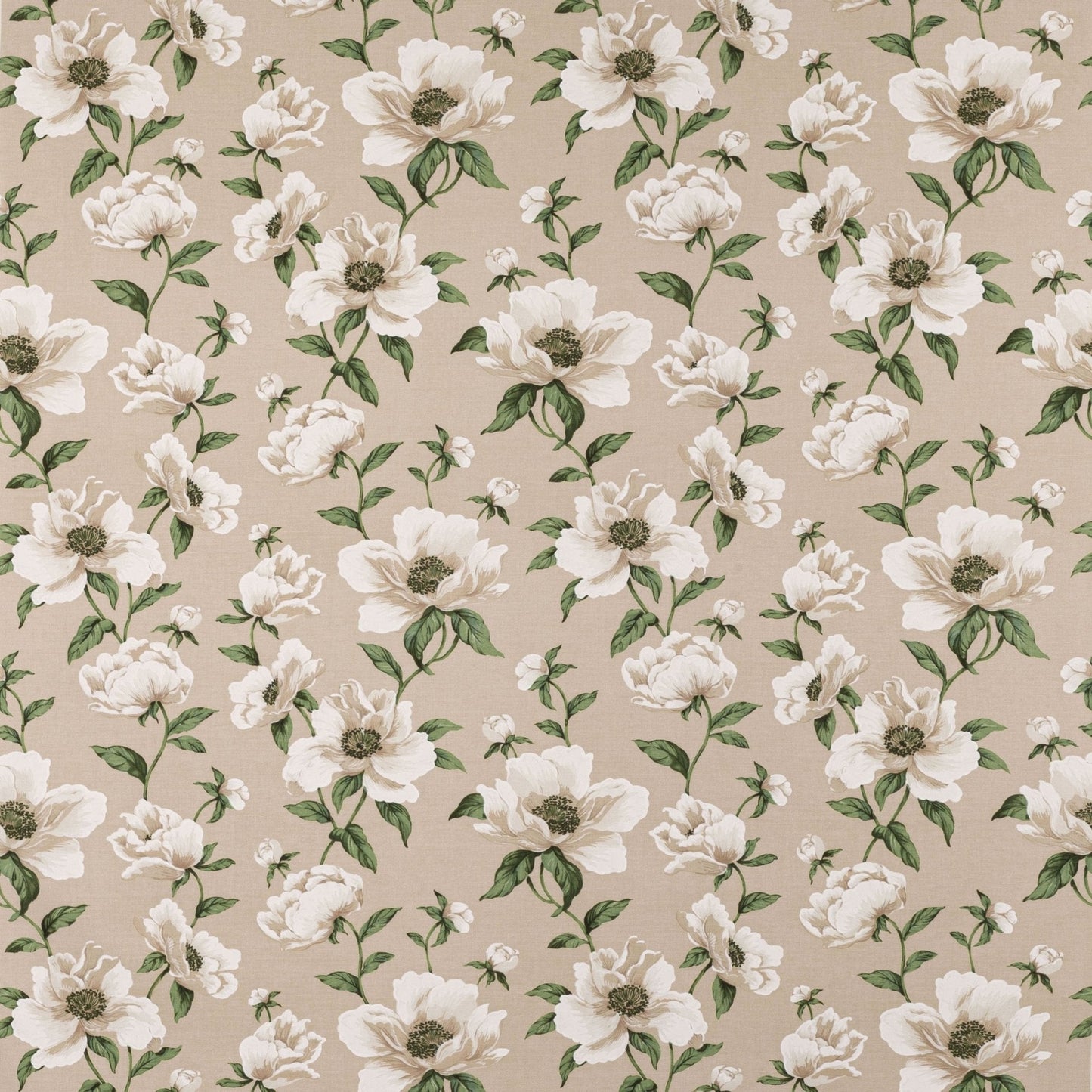 Bianca Fabric - Nacre - Manuel Canovas - M4097-01 - Premier Wallcovering