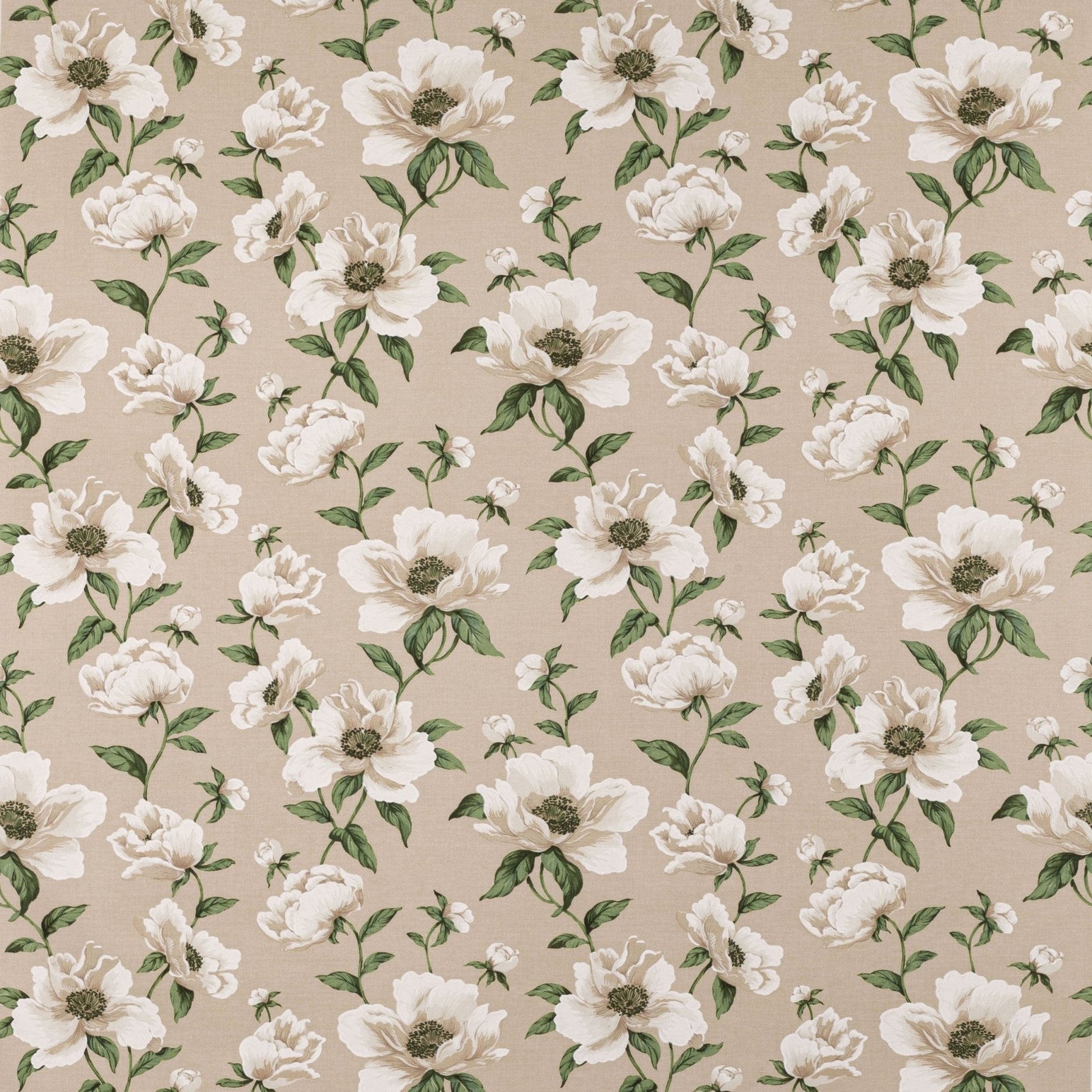 Bianca Fabric - Nacre - Manuel Canovas - M4097-01 - Premier Wallcovering