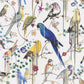 Birds Sinfonia Wallpaper - Perce Neige - Christian Lacroix - PCL7017/02 - Premier Wallcovering