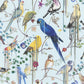 Birds Sinfonia Wallpaper - Source - Christian Lacroix - PCL7017/06 - Premier Wallcovering