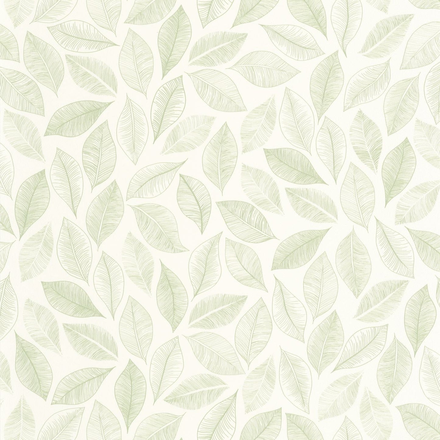 Bliss Wallpaper - Blanc Vert Mousse - Caselio - 105380755