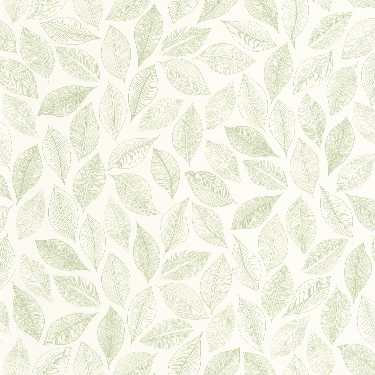 Bliss Wallpaper - Blanc Vert Mousse - Caselio - 105380755