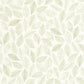 Bliss Wallpaper - Blanc Vert Mousse - Caselio - 105380755
