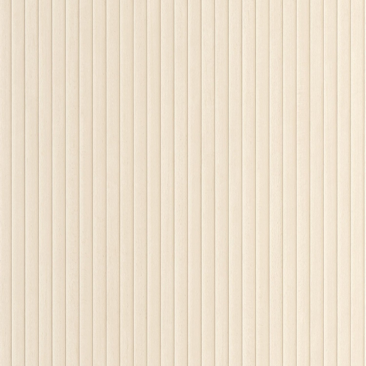 Boisea Wallpaper - Blanc - Caselio - 106840000