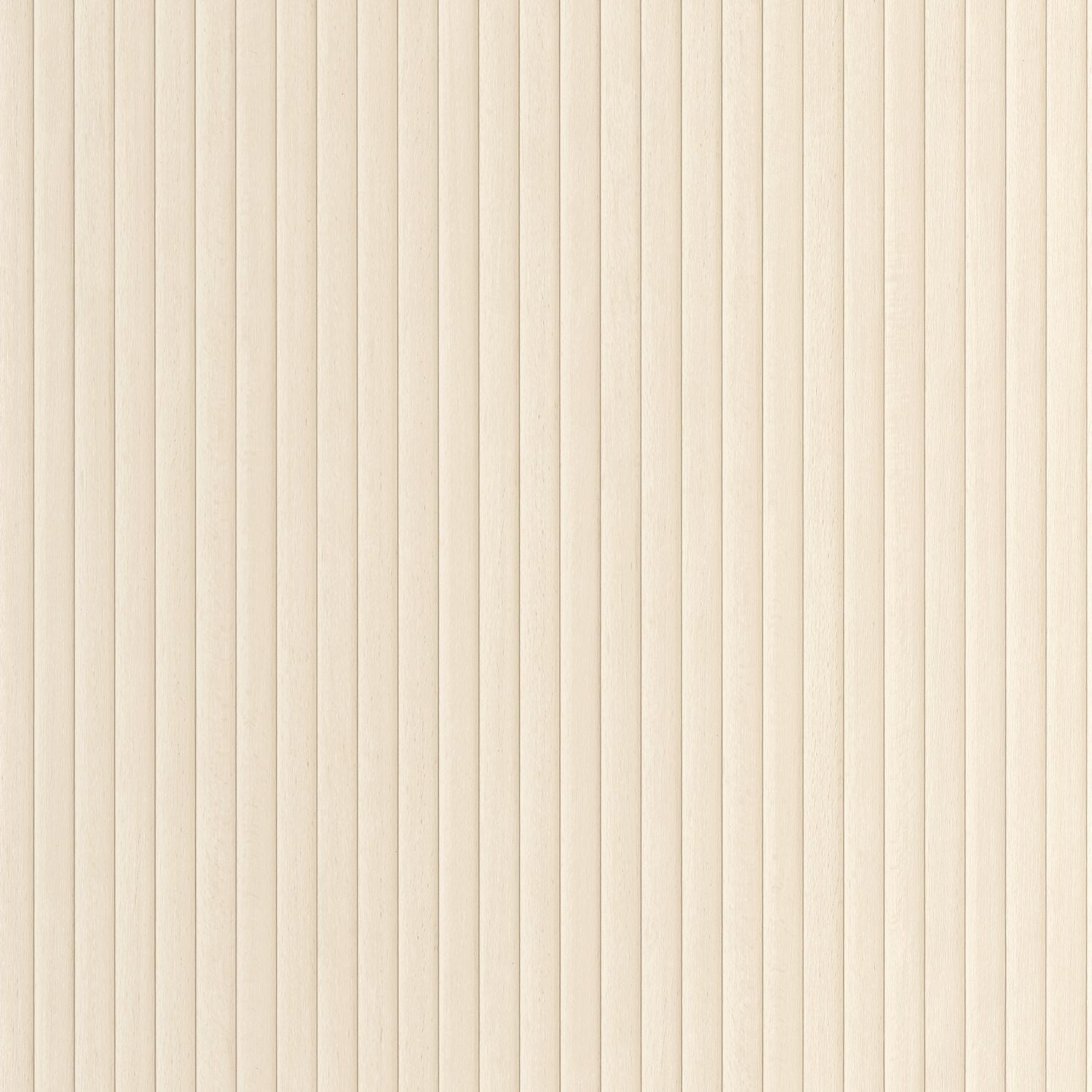 Boisea Wallpaper - Blanc - Caselio - 106840000