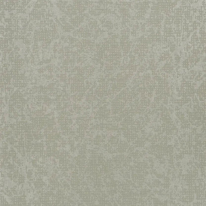 Boratti Wallpaper - Birch - PDG682/01 - Designers Guild