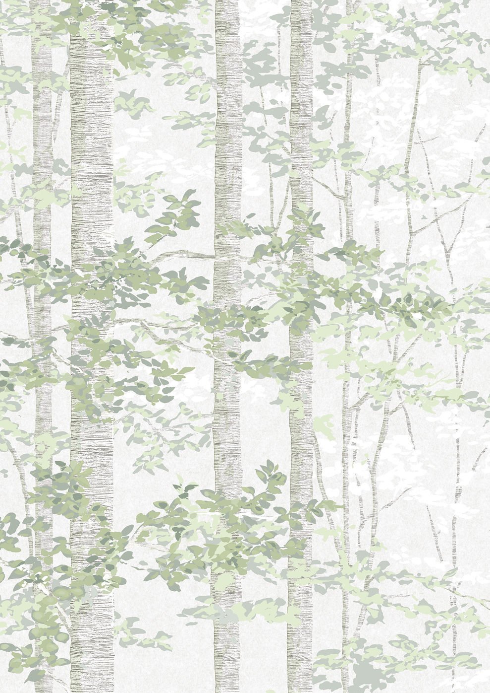 Bosky Wallpaper - Verdure - Lewis & Wood - Premier Wallcovering