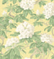 Bourlie Wallpaper - White, Leaf Green on Lemon - 99/4021 - Cole & Son - Premier Wallcovering
