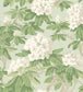 Bourlie Wallpaper - White, Olive Green on Duck Egg - 99/4022 - Cole & Son - Premier Wallcovering