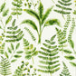 Bracken Wallpaper - Forest - Clarke & Clarke - W0156/02 - Premier Wallcovering