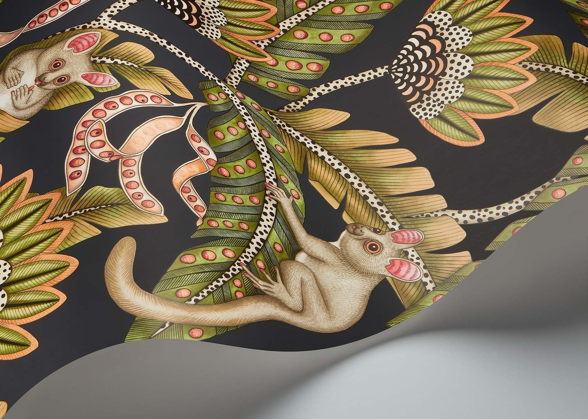 Bush Baby Wallpaper - Spring Green & Orange on Black - 119/7031 - Cole & Son - Premier Wallcovering