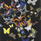 Butterfly Parade Wallpaper - Oscuro - Christian Lacroix - PCL008/02 - Premier Wallcovering