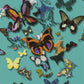 Butterfly Parade Wallpaper - Oscuro - Christian Lacroix - PCL008/02 - Premier Wallcovering