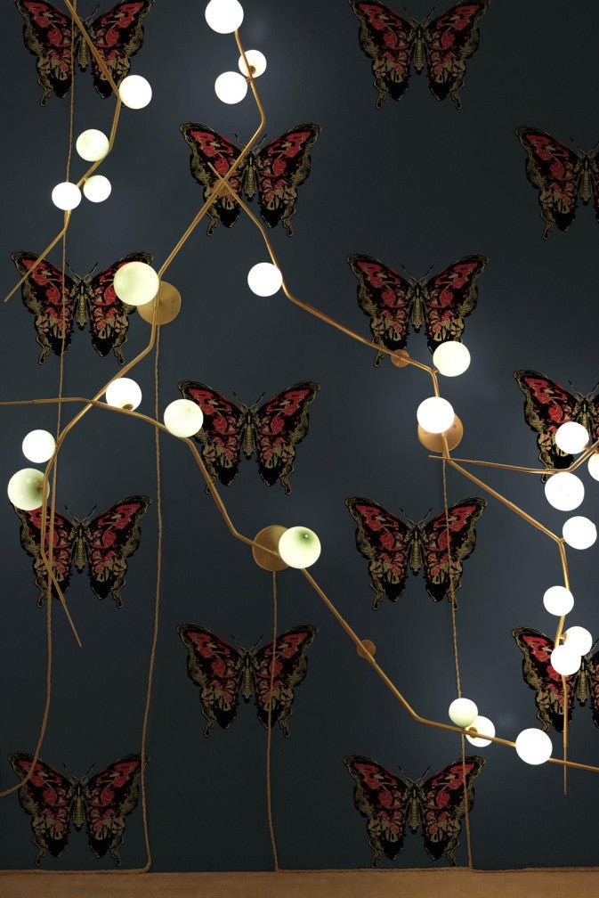 Butterfly Wallpaper - Red & Gold on Black - Timorous Beasties - EX/BFLY/4007/01 - Premier Wallcovering