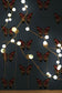 Butterfly Wallpaper - Red & Gold on Black - Timorous Beasties - EX/BFLY/4007/01 - Premier Wallcovering