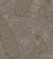 Byron Wallpaper - Metallic Gilver - 94/7038 - Cole & Son - Premier Wallcovering