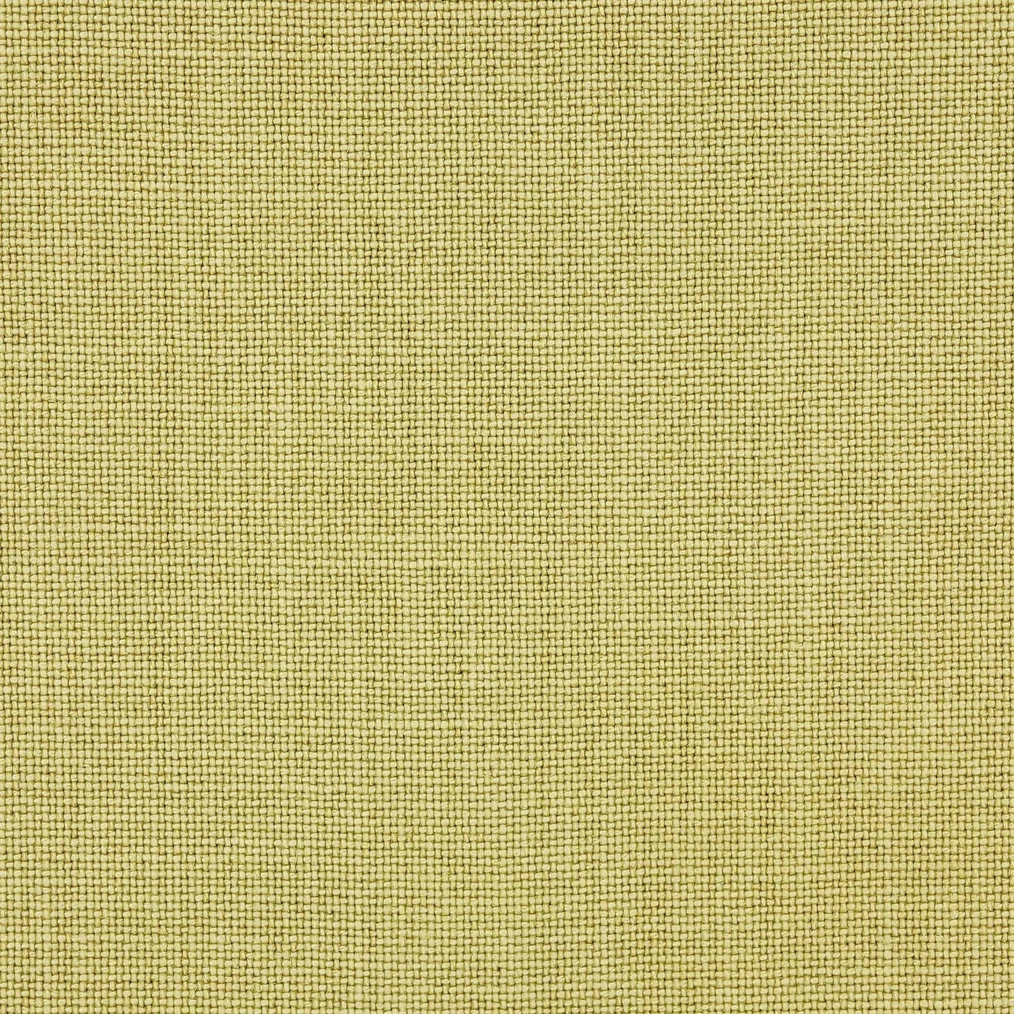 Cabris Fabric - Anis - Manuel Canovas - M4018-11 - Premier Wallcovering