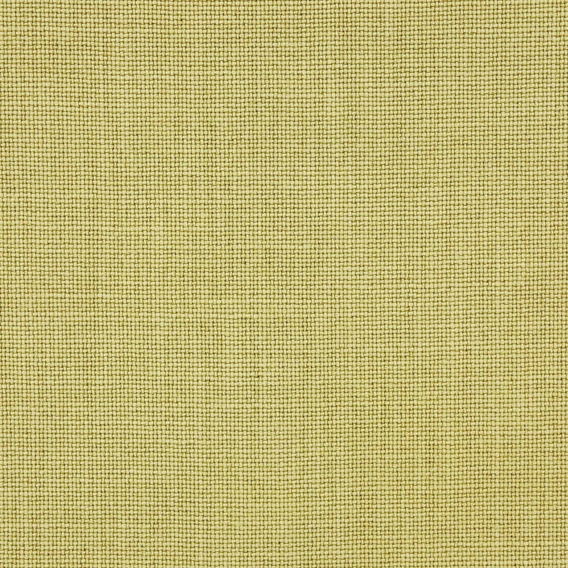 Cabris Fabric - Anis - Manuel Canovas - M4018-11 - Premier Wallcovering