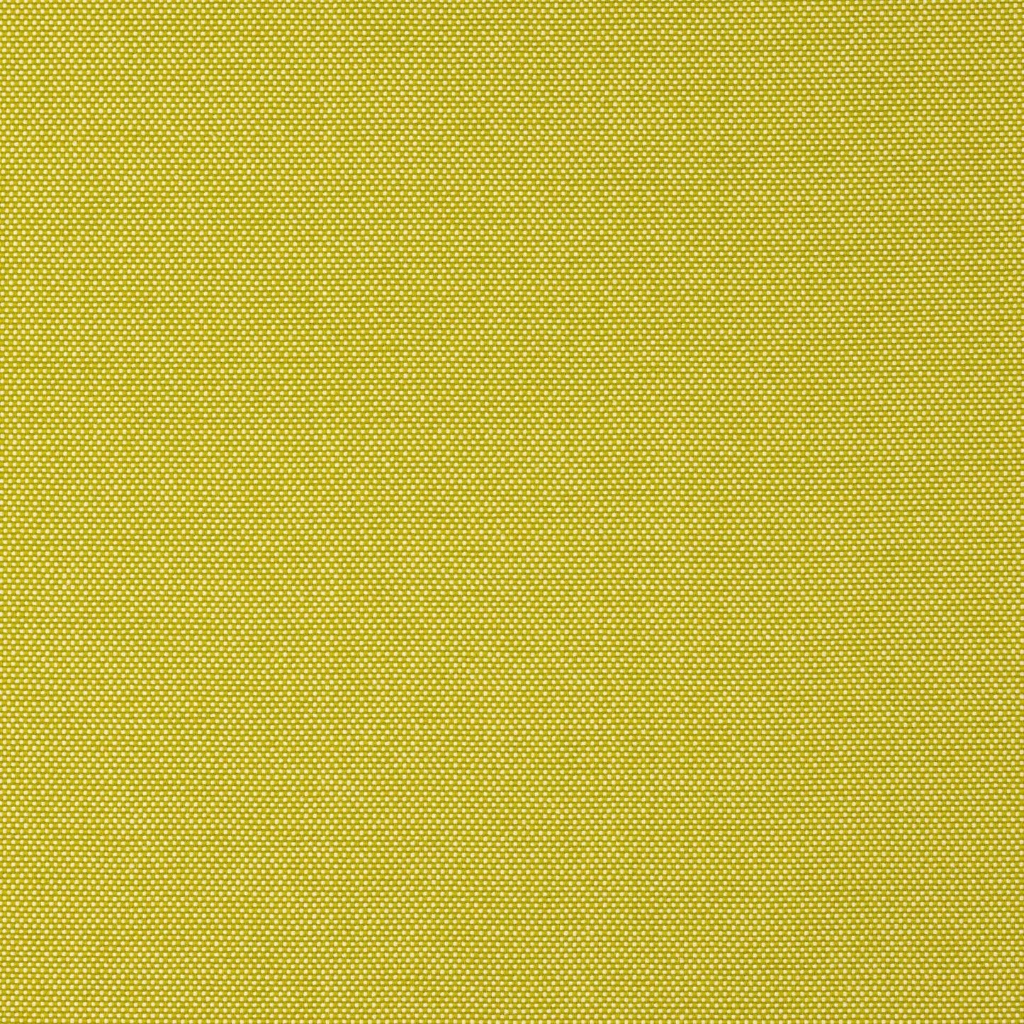 Calvi Fabric - Pistache - Manuel Canovas - M4127-05 - Premier Wallcovering