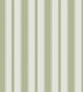 Cambridge Stripe Wallpaper - Olive Green - 110/8038 - Cole & Son - Premier Wallcovering