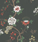 Camellia Wallpaper - Chalk & Red on Soot - 115/8026 - Cole & Son - Premier Wallcovering