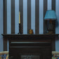Camelot Stripe Traditional Wallpaper - Sky and Noir - House of Hackney - 1-WA-CAM-TR-SKN-XXX