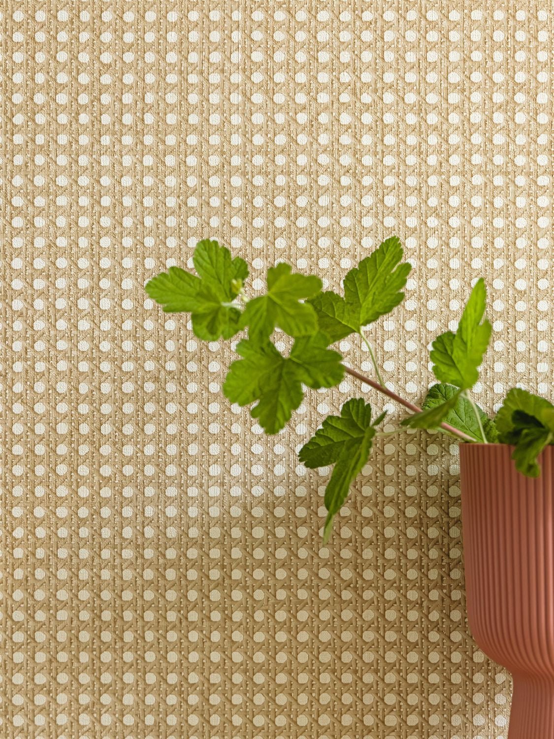 Cannage Wallpaper - Beige - Caselio - 106021000