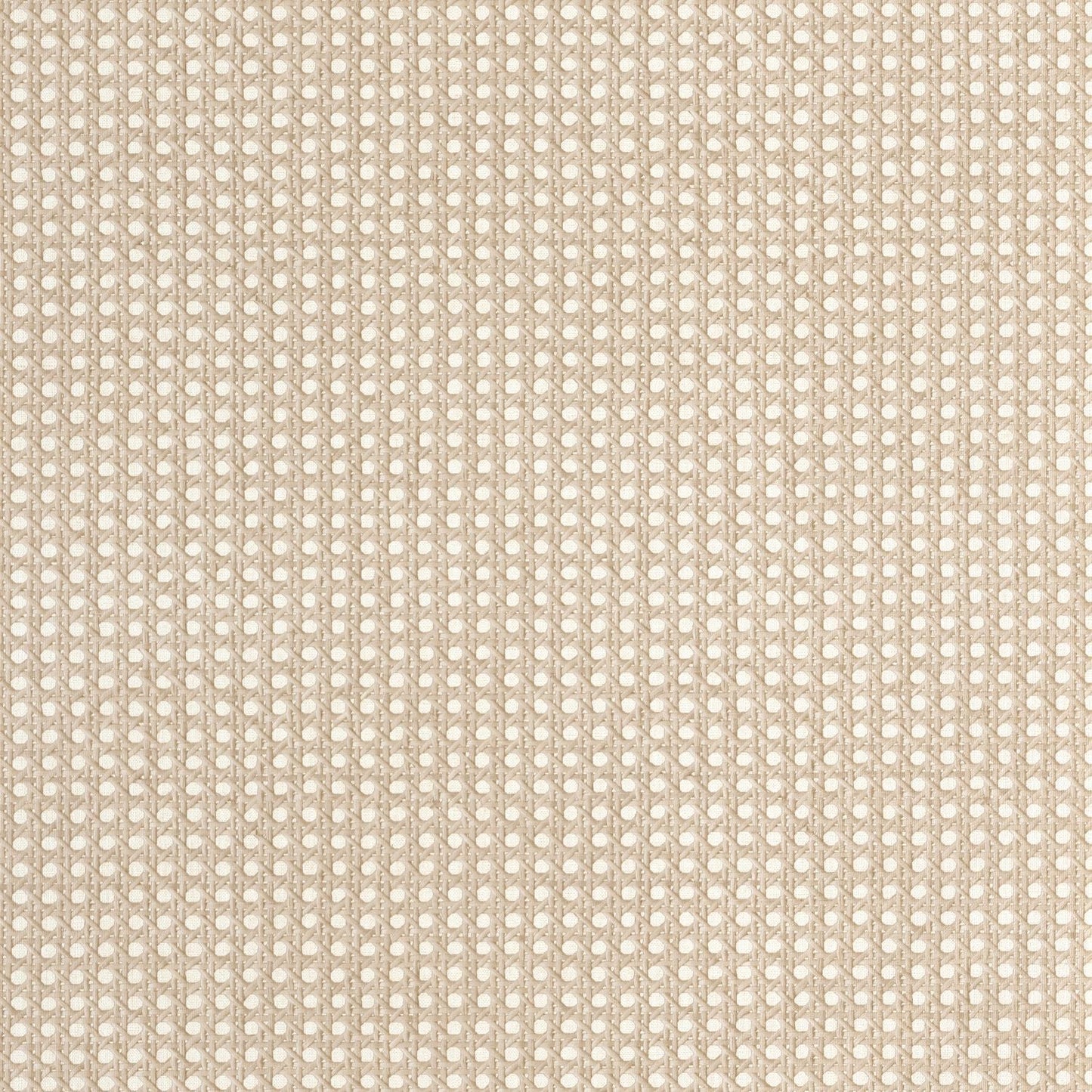 Cannage Wallpaper - Taupe - Caselio - 106022050