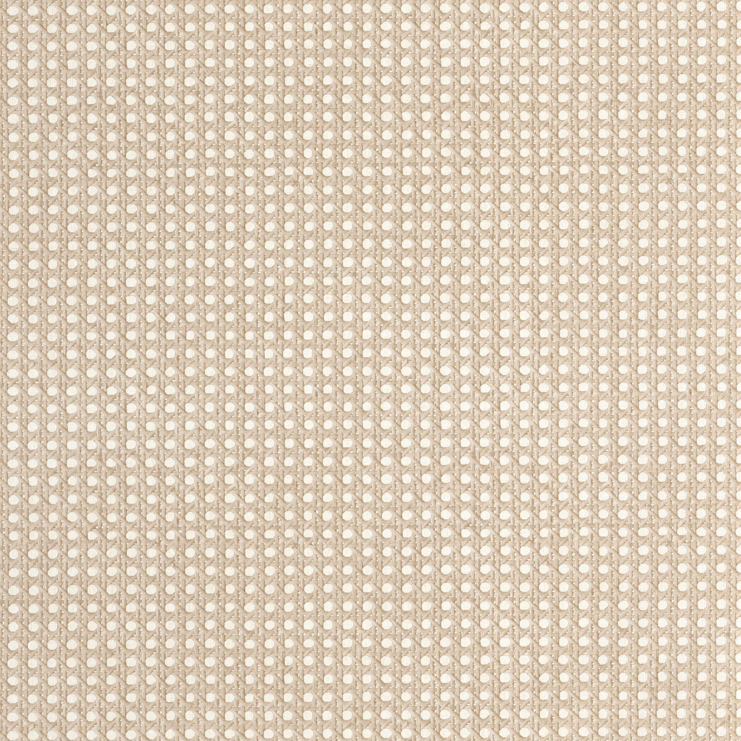 Cannage Wallpaper - Taupe - Caselio - 106022050