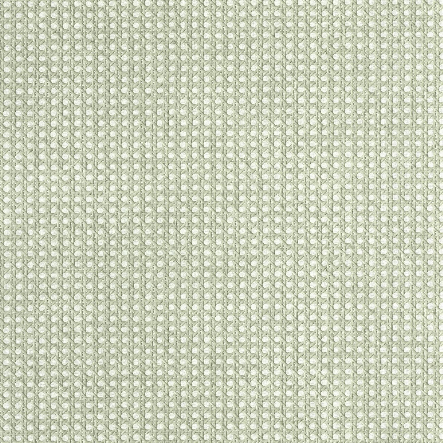 Cannage Wallpaper - Vert - Caselio - 106027050