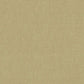 Canto Wallpaper - Gold - Nina Campbell - NCW4036 - 07 - Premier Wallcovering