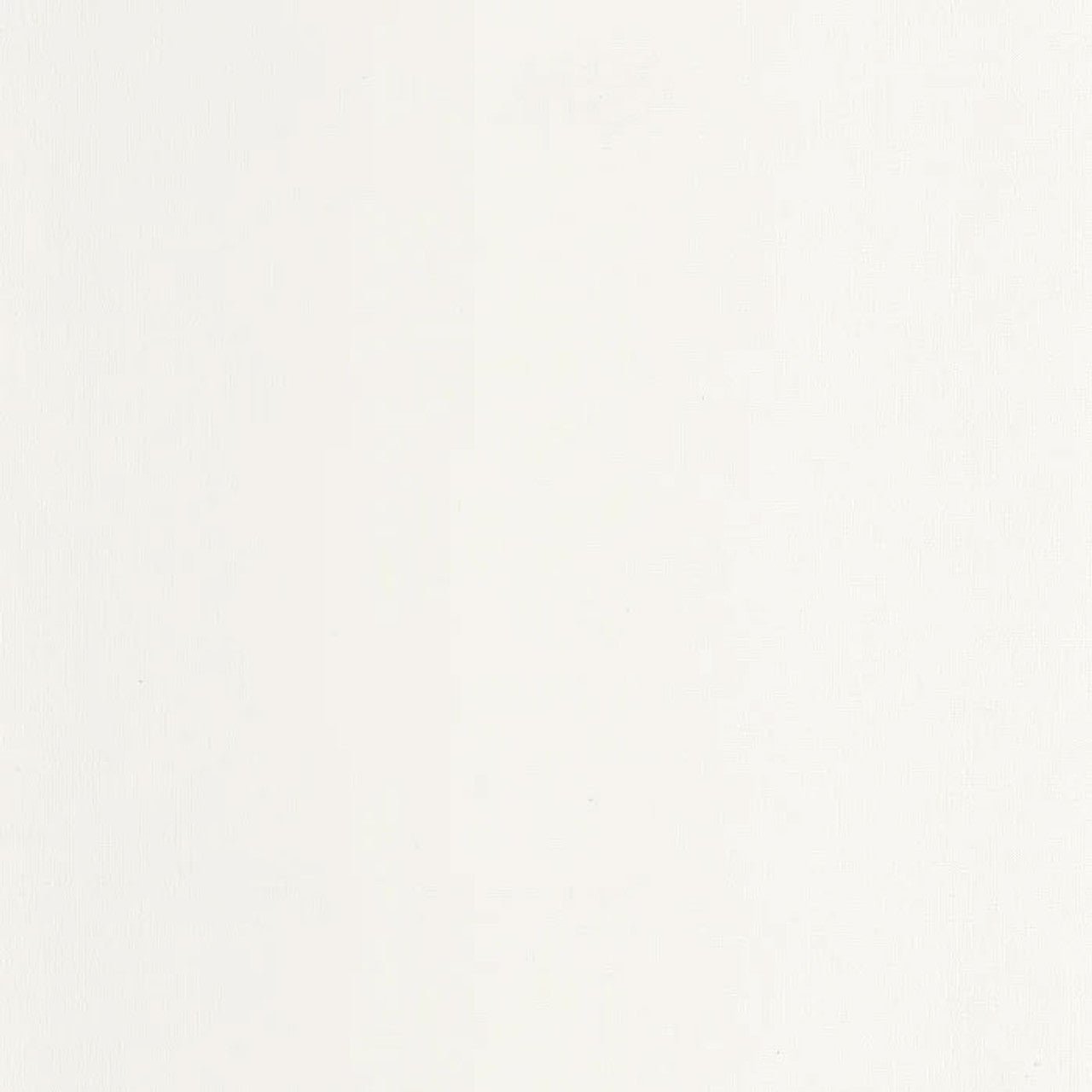 Caractere Wallpaper - Blanc Polaire - Casadeco - 201170000 - Premier Wallcovering