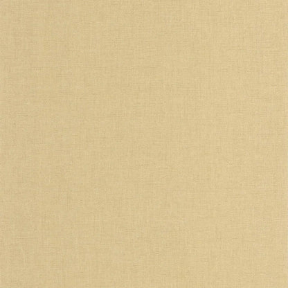 Caractere Wallpaper - Beige Chamois - Casadeco - 201171441 - Premier Wallcovering
