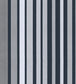 Carousel Stripe Wallpaper - Metallic Silver on Charcoal - 110/9043 - Cole & Son - Premier Wallcovering