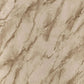 Carrara Grande Wallpaper - Bronze - PDG1089/07 - Designers Guild