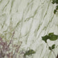 Carrara Grande Wallpaper - Eau de Nil - PDG1089/03 - Designers Guild